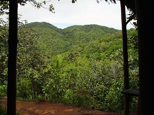Vallée de Mai Nature Reserve