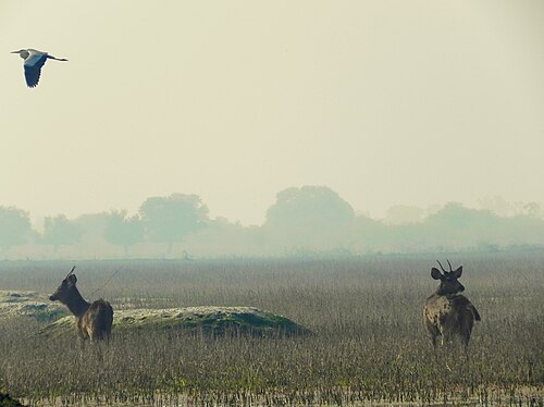 Keoladeo National Park