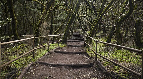 Garajonay National Park
