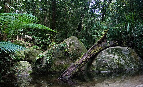 Wet Tropics of Queensland