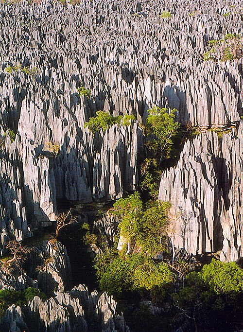 Andrefana Dry Forests