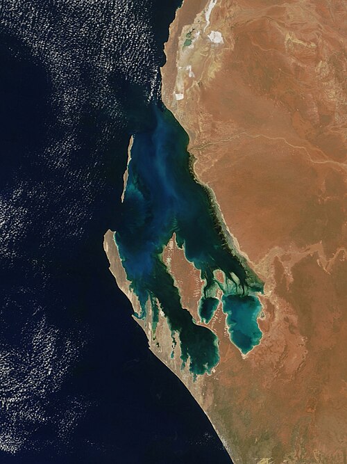 Shark Bay, Western Australia