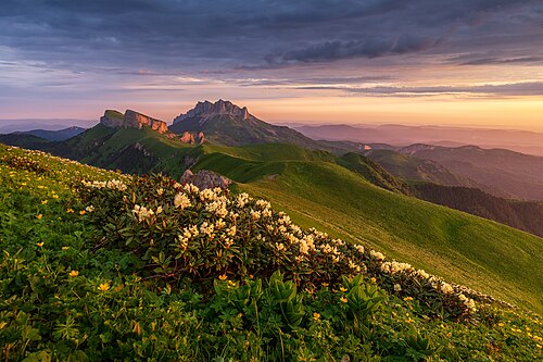 Western Caucasus