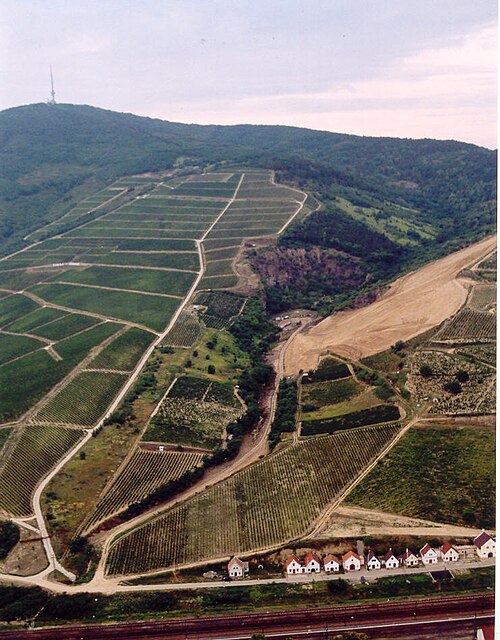 Tokaj Wine Region Historic Cultural Landscape