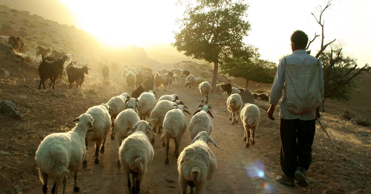 Cultural Landscape of Maymand