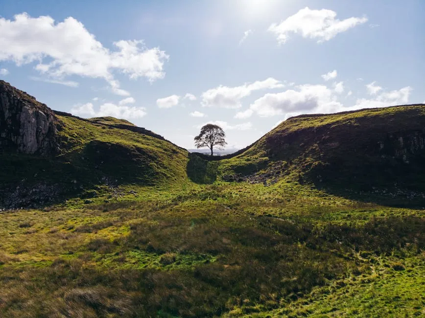 Hadrian's Wall snaking across rolling Northumberland countryside