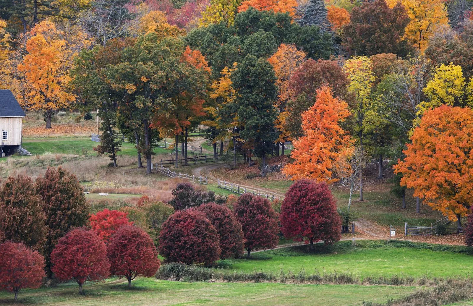 Autumn foliage in New England with red and orange maple trees