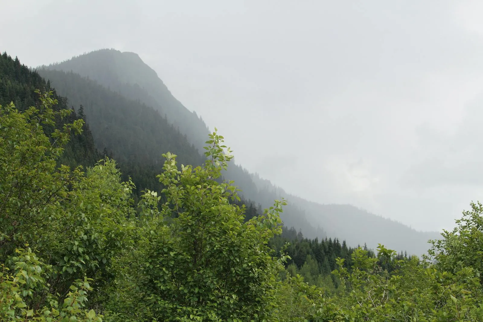 Pacific Northwest, Hawaii & Alaska landscape