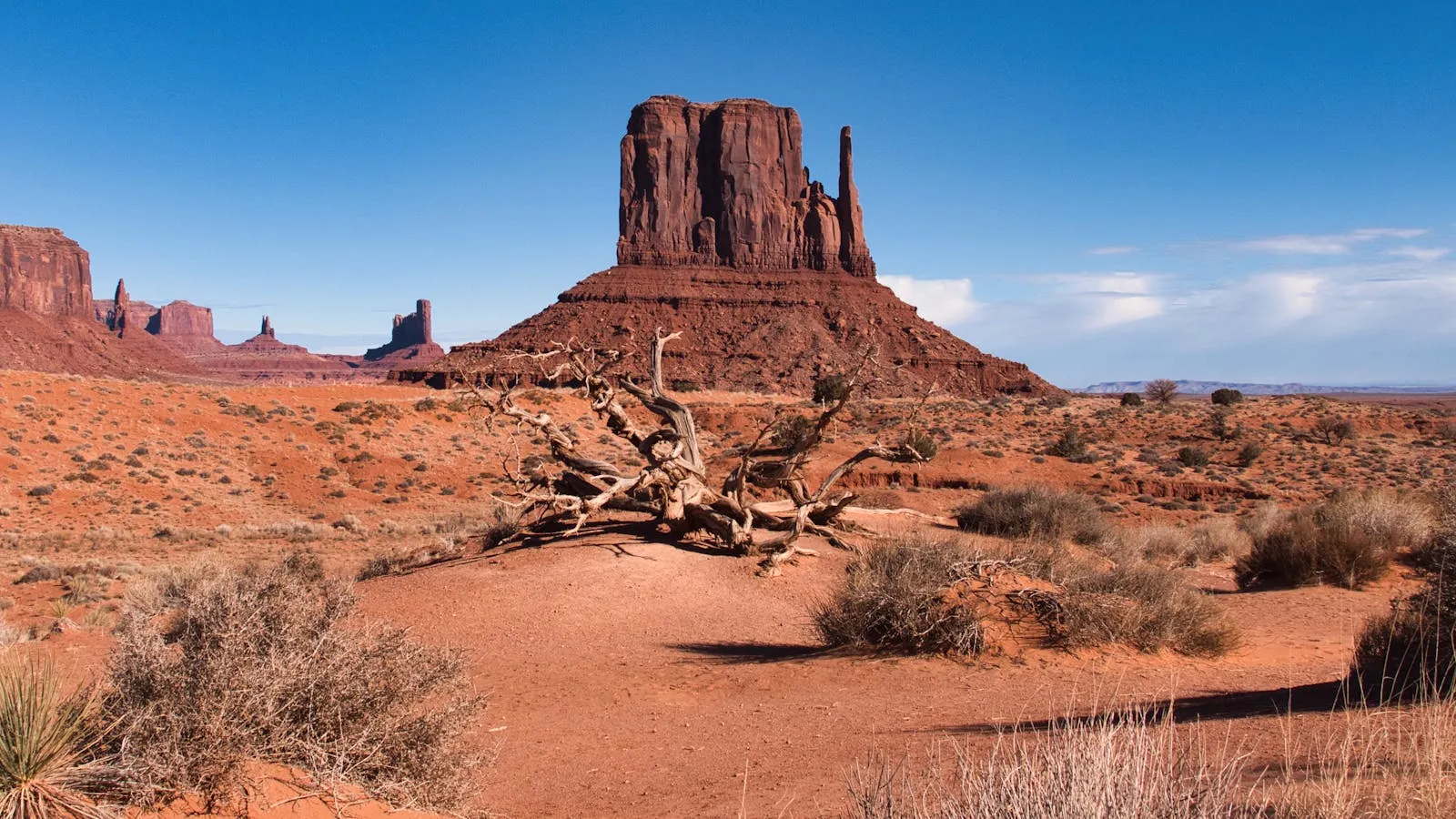Southwest desert landscape