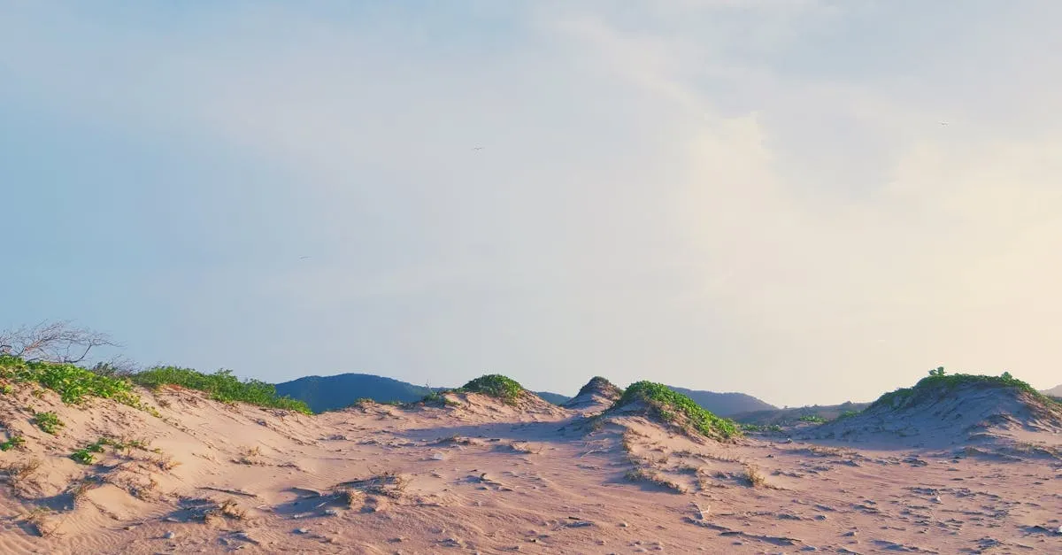 Médanos de Coro sand dunes