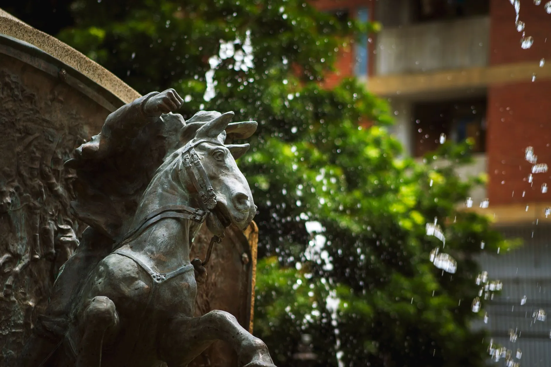 Close-up of a bronze equestrian statue with water droplets, located outdoors in Mérida, Venezuela.