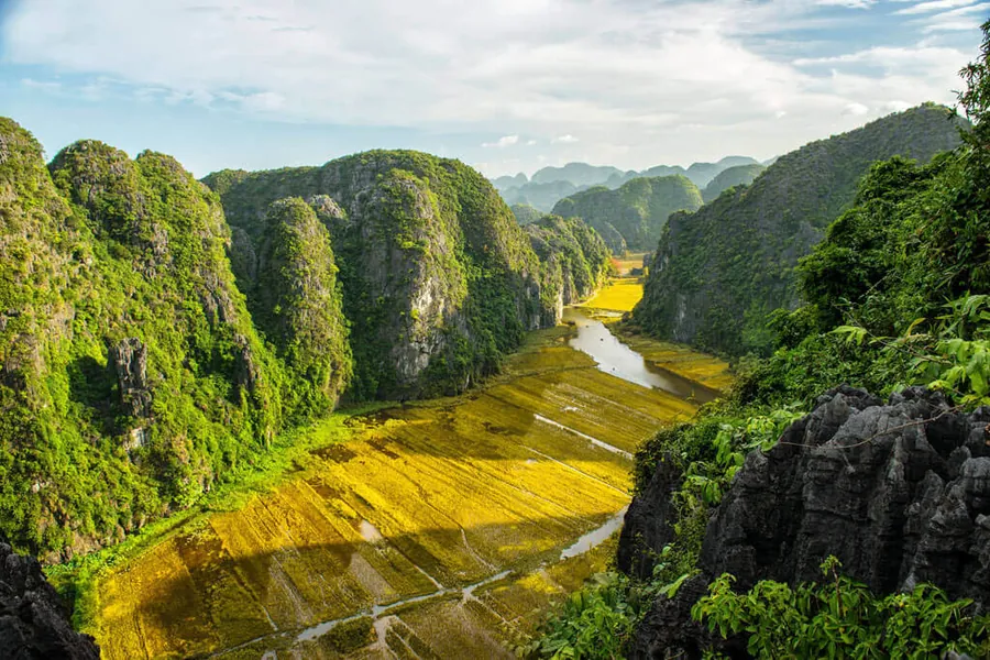Ninh Binh limestone karsts and rice paddies