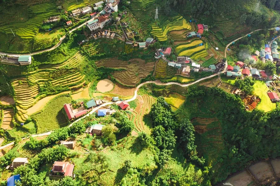 Sapa rice terraces in morning mist