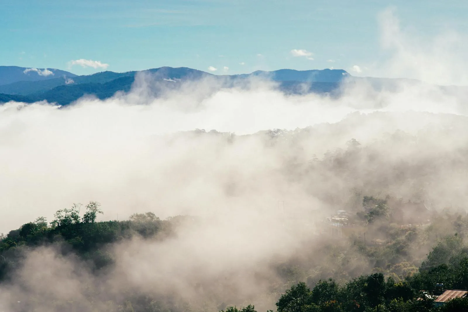 Serene morning mist enveloping the lush Dalat mountains in Vietnam, capturing a tranquil and foggy landscape.