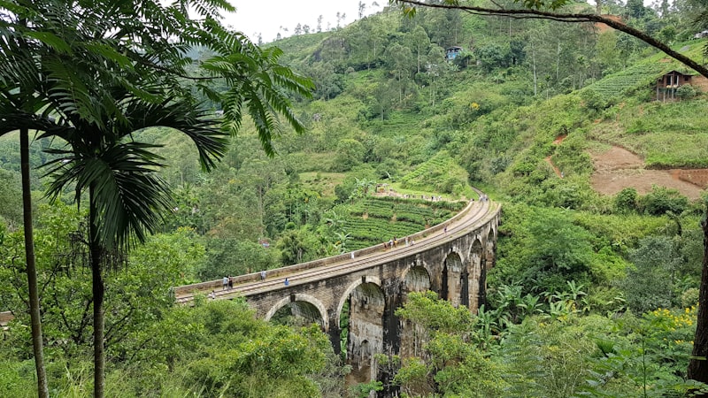 Nine Arch Bridge surrounded by lush green tea plantations in Ella